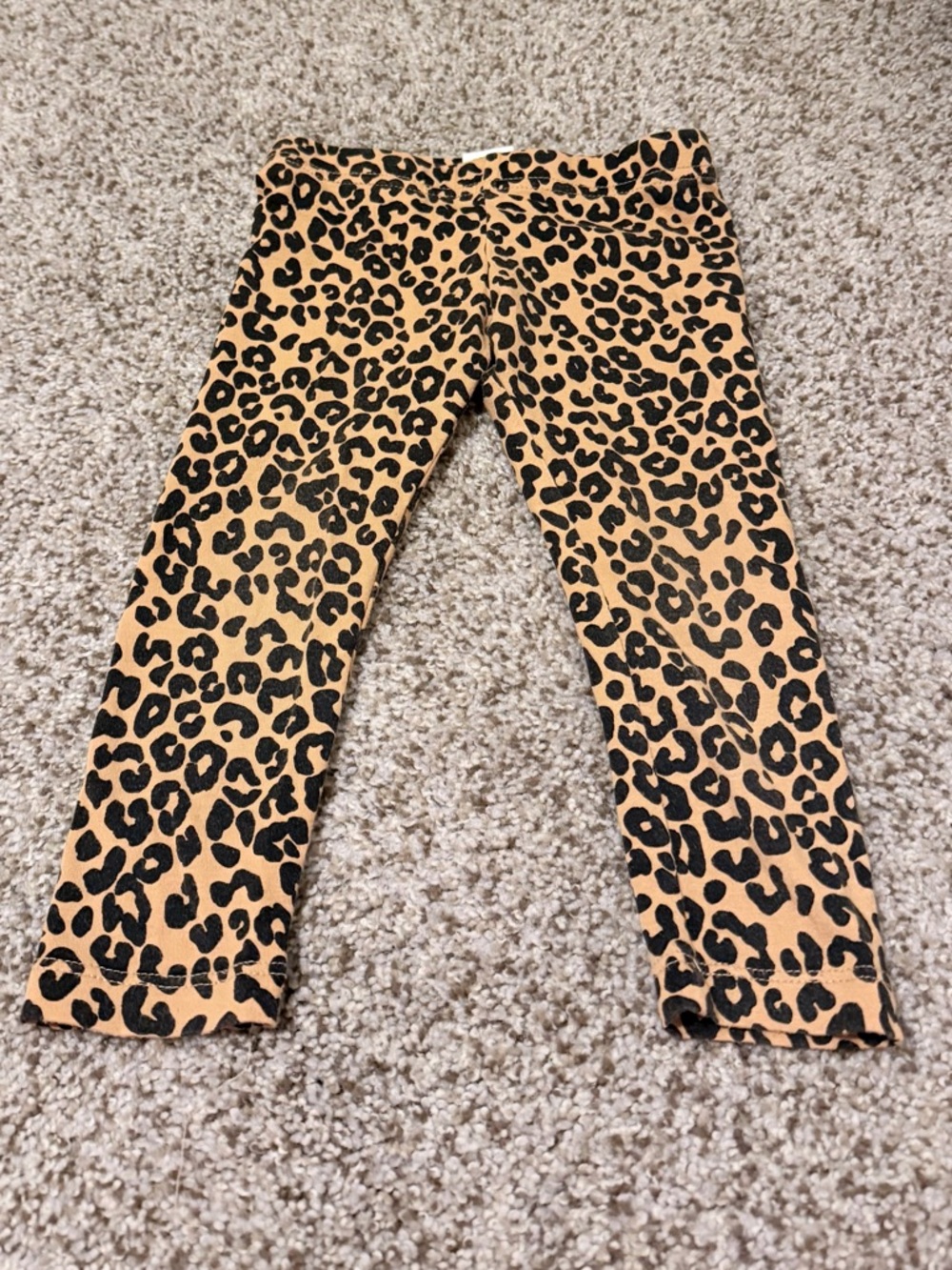 Toddler Girl Leopard leggings size 2T